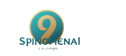 Spinomenal Provider-Logo im OnlySpins Casino